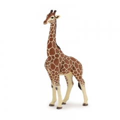 Papo Giraffe Male