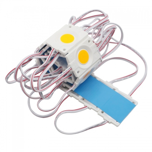 2.4W injection COB LED Module light,DC 12V advertising Green