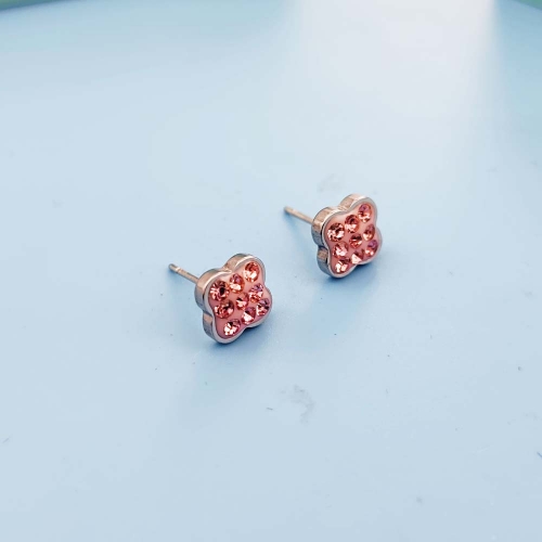 Boucles d&#39;oreilles AEE-342S