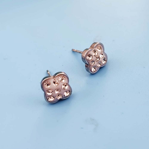 Earrings AEE-341S