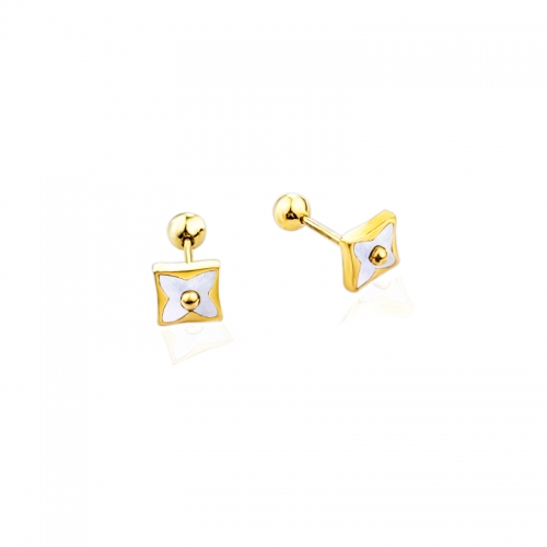 Earrings AEE-364G