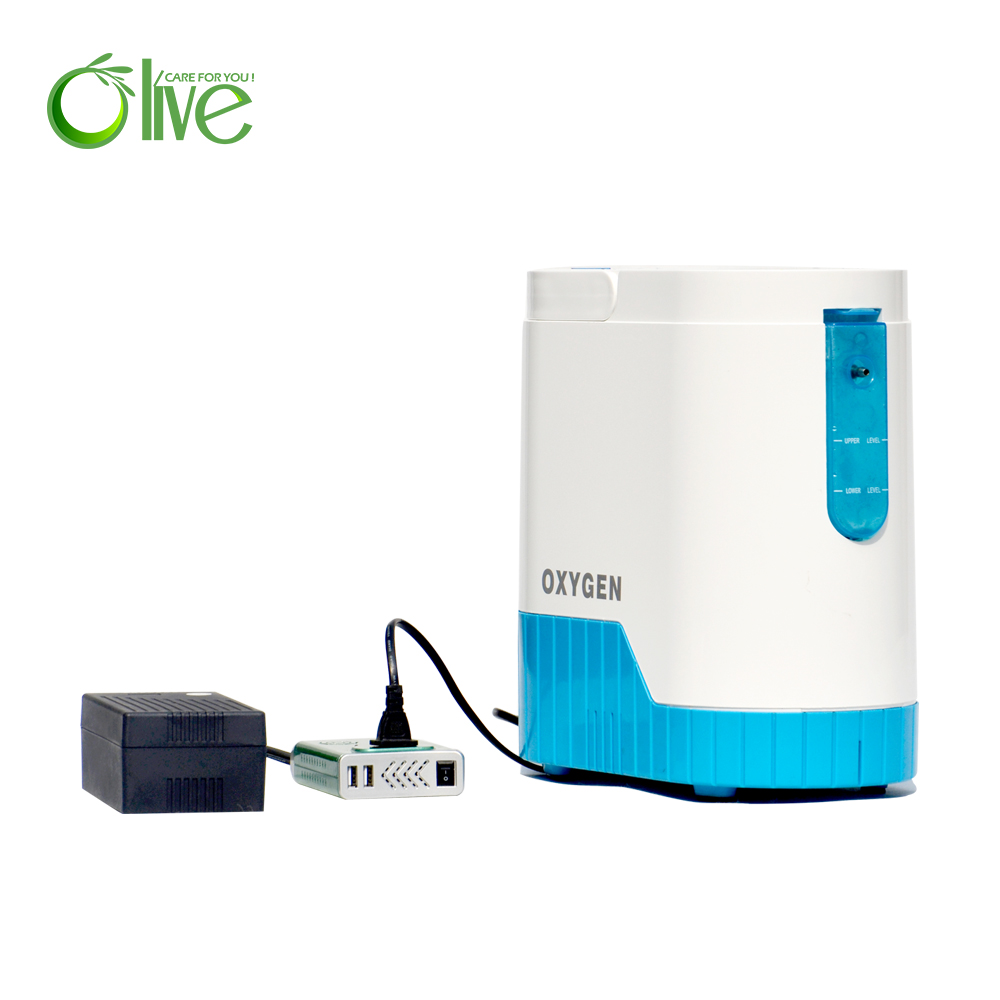 Low Noise Rechargeable Car Use Small Portable Oxygen Concentrator Price With Anion Function