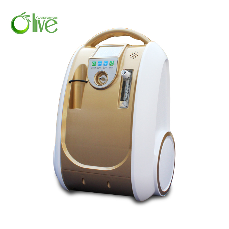 Battery Portable Small Oxygen Concentrator Latest High-Quality 1L Oxygen Generator