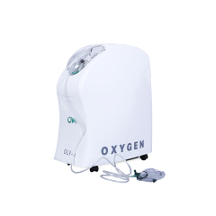 Battery Stationary Oxygen Concentrator 90W For Treating Special Patients