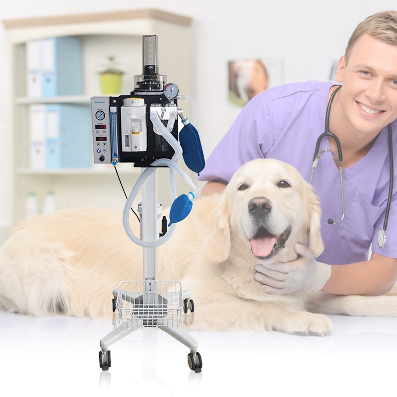 Máquina de anestesia de gas veterinario con equipo médico de anestesia animal ventilador