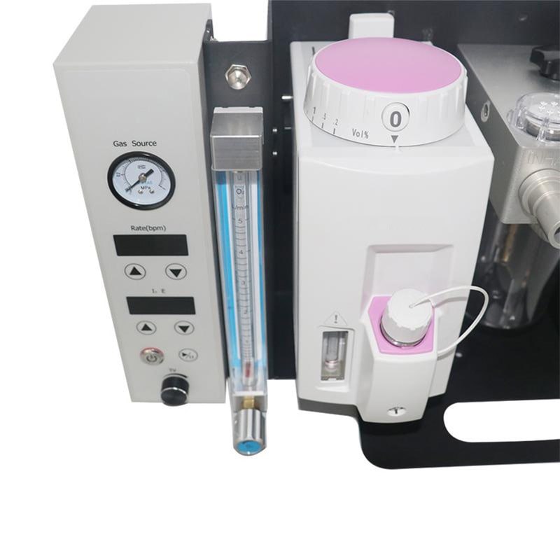 Vet Gas Anesthesia Machine With Ventilator Animal Anesthesia Medical Equipment