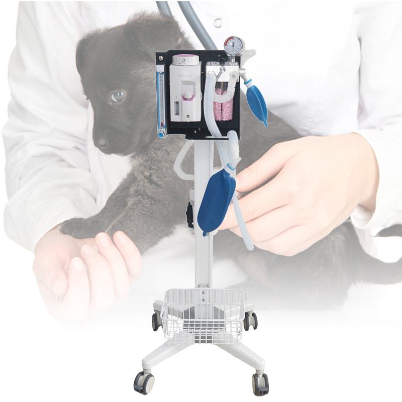 Portable Anesthesia Vaporizer Machine Veterinary Pet Anesthesia Machine