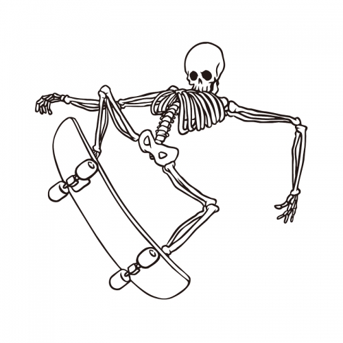 The skeleton skateboard