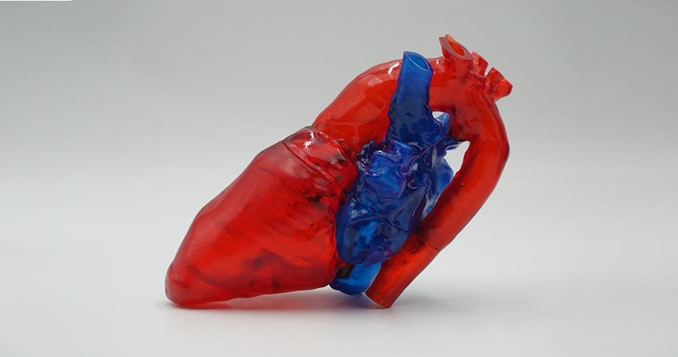 3D printing-materials produce life-like anatomical features
