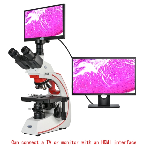 KOPPACE 40X-1600X 11.6-inch HDMI Biological Microscope 2 Million Pixels Research-Grade Compound Lab Electronic Microscope