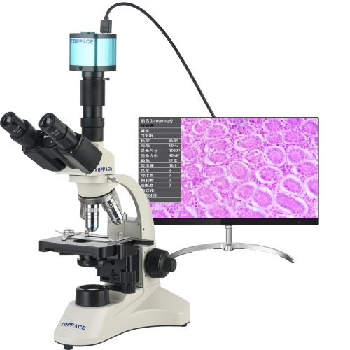KOPPACE 40X-1600X HDMI HD Biological Microscope can take Pictures Videos USB Can Connect to Computer