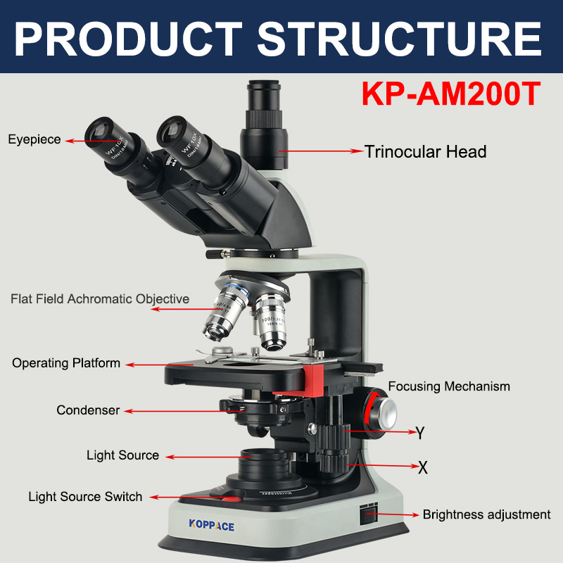 KOPPACE 40X-1600X Trinocular Compound Lab Microscope Infinite Flat Field  Achromatic Objective