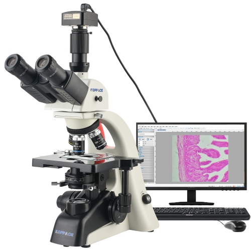 KOPPACE 40X-1600X Trinocular Compound Lab Microscope12 Million Pixels USB2.0 Camera