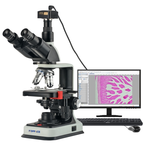 KOPPACE 40X-2500X Electron Biological Microscope 12 Million Pixels USB2.0 Camera