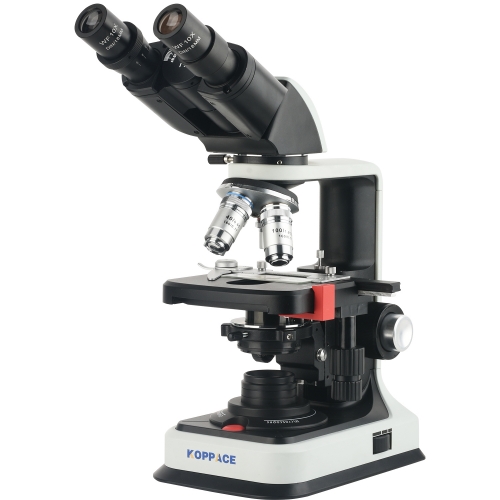 KOPPACE 40X-2500X Binocular Compound Lab Biological Microscope Flat Field Achromatic Objective