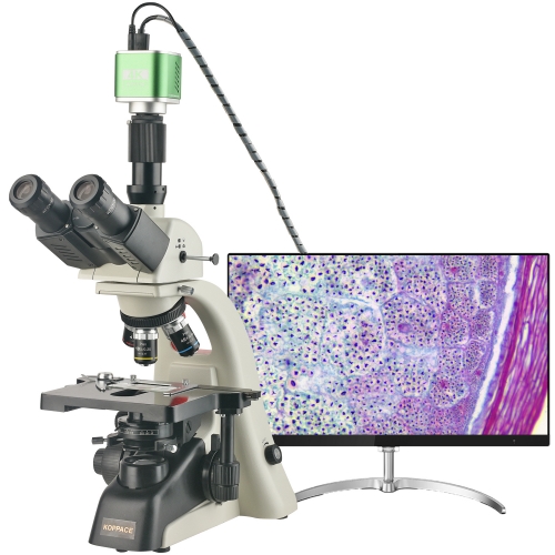 KOPPACE 308X-7705X Trinocular Compound Lab Microscope 8.3 Million Pixels 4K Camera