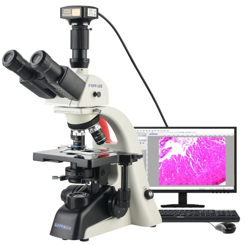 KOPPACE 283X-7090X Trinocular Compound Lab Microscope 25 Million Pixels USB3.0 Camera
