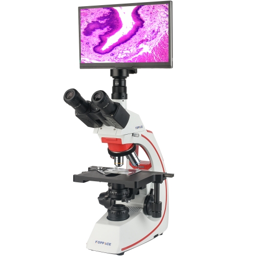 KOPPACE 40X-1600X Compound Lab Electron Microscope 5 Million Pixels 11.6-inch HD Display