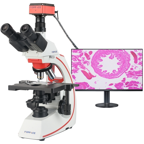 KOPPACE 155X-3870X Research Grade Electron Biological Microscope with 8.3 Megapixel 4K Camera