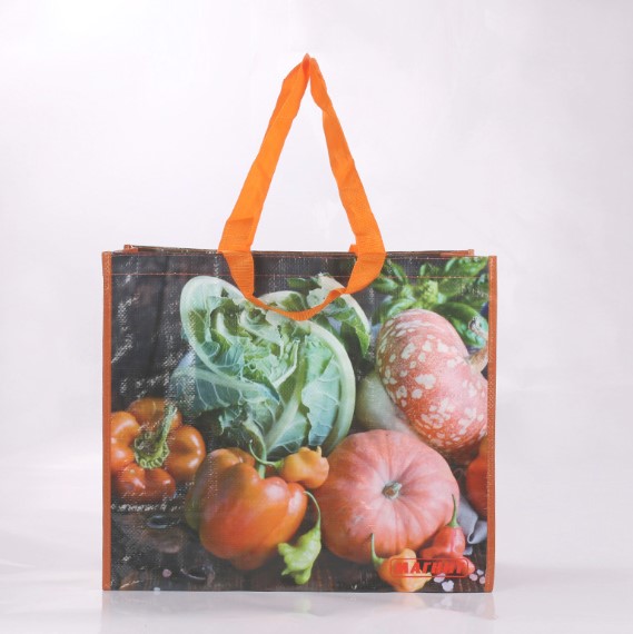 PP non woven bag