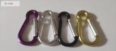 Outdoor Mini Multi-colorful Aluminum Climbing Carabiner Hooks For Backpack RL-CH014