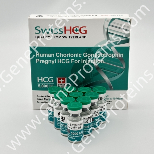SwissHCG 5000IU/Vial, 10Vials/Kit (Box), Pharma Grade HCG, export to hospital