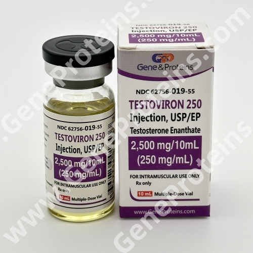 Testosterone Enanthate 250mg (TESTOVIRON, TE250)