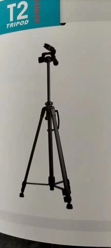 T2