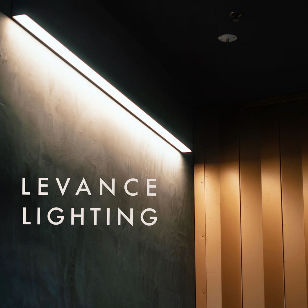 Light Up Your World with Levance Lighting!