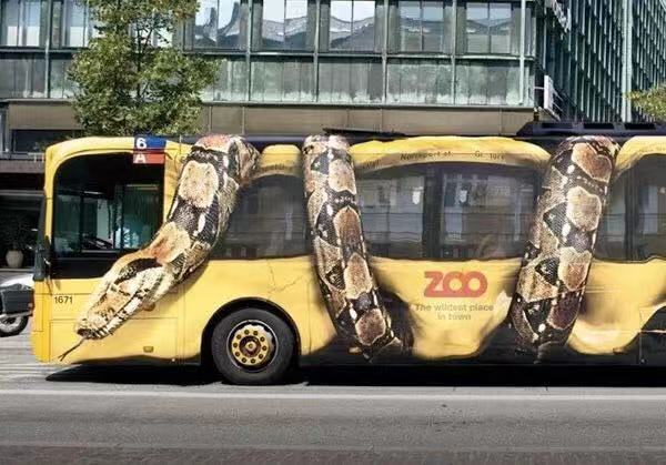 Dancing with snake bus with snake chunky shoes