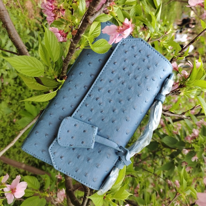 Handbag Supplier Women bags Detachable Strap Magnetic buckle Colorful handbags Wholesales