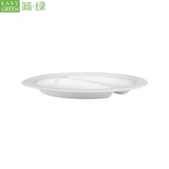 Disposable Biodegradable Bamboo Compartment Food Plates