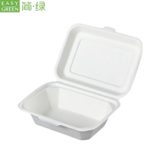 Biodegradable Sugarcane Bagasse Food Container From China