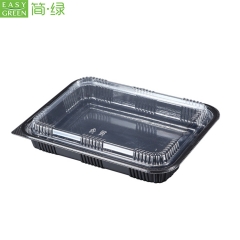 Rectangular Disposable Plastic PP Food Containers Packaging With Lid