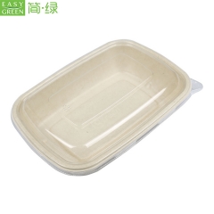 Disposable Bagasse/Sugarcane Food Container For Lunch Bneto
