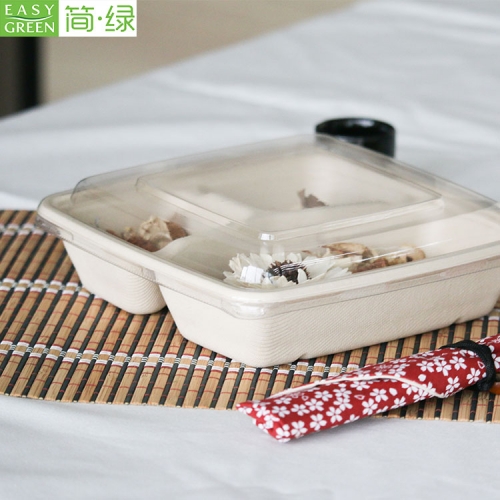 Bamboo Sugarcane Bagasse Container Bento Lunch Box Disposable