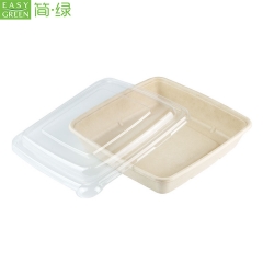 1000ml biodegradable Disposable Sugarcane Bamboo pulp Bento Box