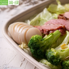 Biodegradable Disposable Microwave Take Away Food Bagasse Container With Lid
