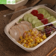 Disposable Bagasse/Sugarcane Food Container For Lunch Bneto