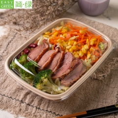 1000ml Eco Friendly Paper Disposable Bento Box For Narutral Pulp Biodegradable Lunch Box