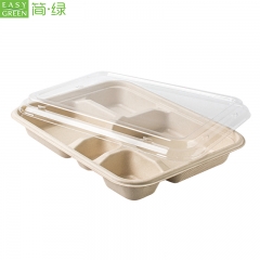 5-com Compostable Bagasse Paper Bamboo Disposable Lunch Plate Compartment Tray