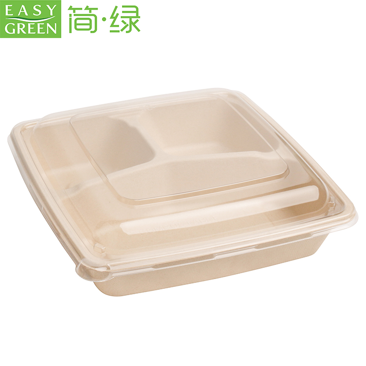 Custom Bagasse Box Biodegradable Food Takeout Containers Noodle Pp Lid –  Fastfoodpak