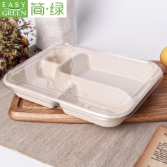 CJ305 Biodegradable Bagasse Plates Sugarcane Dinner Plates Disposable Paper Plates with 4 Compartments