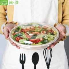 Easy Green Hot Sale Eco Friendly Biodegradable Disposable Bagasse Food Packaging Biodegradable Microwave Food Container