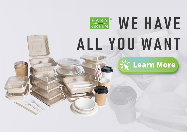 Disposable Plastic Food Container With Anti-Fog Lid - Easy Green Eco  Packaging Co., Ltd.