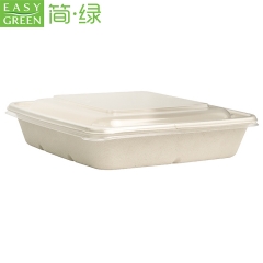 Easy Green Großhandelslieferant für Zuckerrohr-Bagasse-Behälter zum Mitnehmen