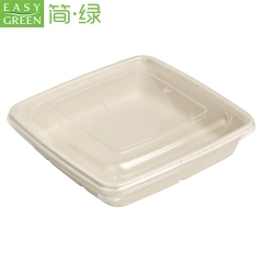 Easy Green Großhandelslieferant für Zuckerrohr-Bagasse-Behälter zum Mitnehmen