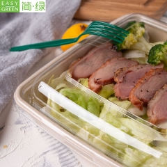 Easy Green wholesale sugarcane bagasse takeaway containers supplier