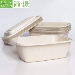 Recipiente biodegradável descartável Easy Green para levar