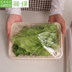Easy Green Bagasse-Fruchtfleisch-Teller für frischen grünen Salat, Obst etc.